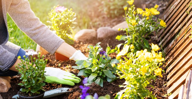 Hoe je tuin aanleggen?