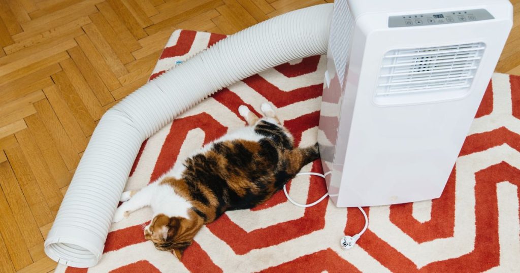 Kat ligt bij een mobiele airco met slang voor warmteafvoer. De kat is wit, bruin en zwart van kleur en ligt op een vierkant kleed met rood-witte patronen. Ook zie je naast het kleed een visgraatvloer.