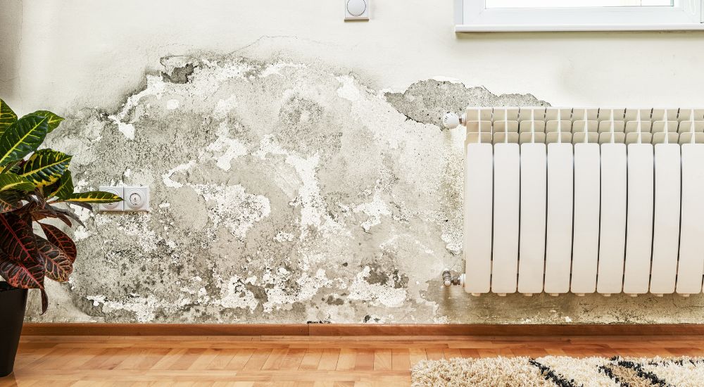 opstijgend vocht verzekering