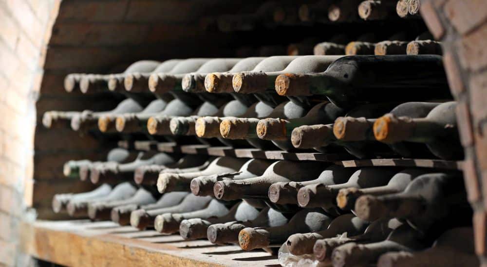 Wijn kelder waar schimmel te zien is.