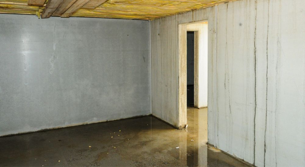 Water in kelder wat zorgt voor schimmel.