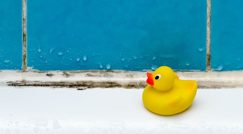 Vochtproblemen oplossen