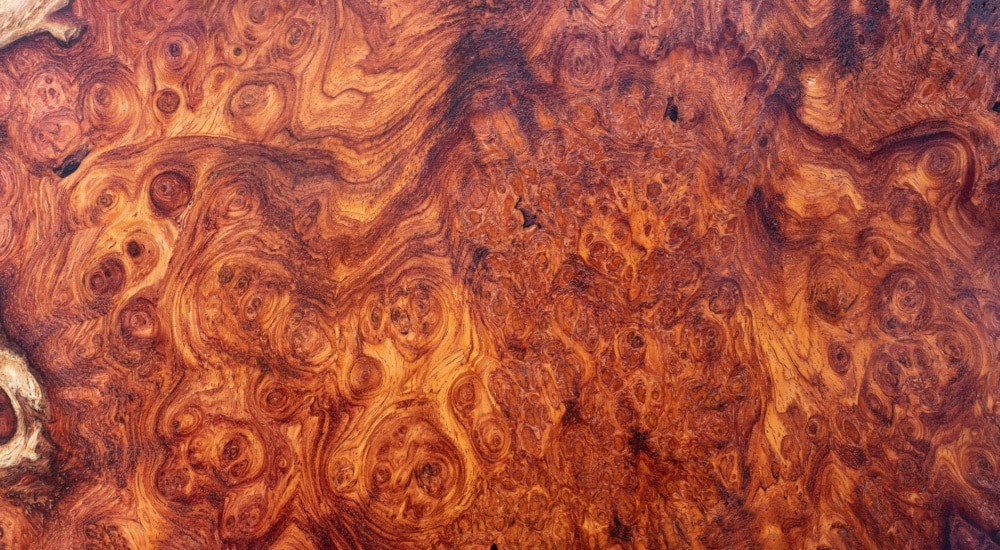 Afzelia Gevelbekleding