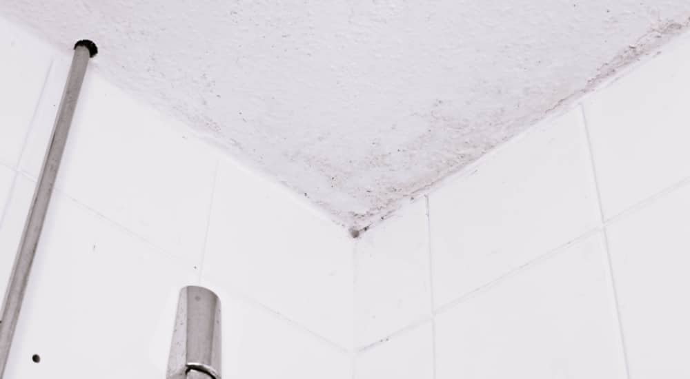 Condensatievocht Badkamer