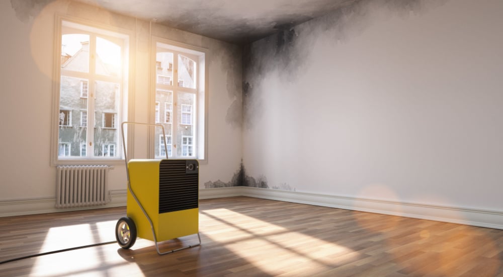 Condensatievocht Bestrijden