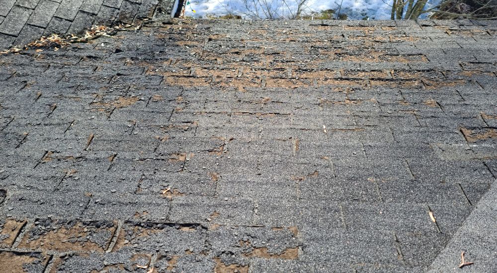 Een detailbeeld van mosvorming op donkergrijze dakshingles.