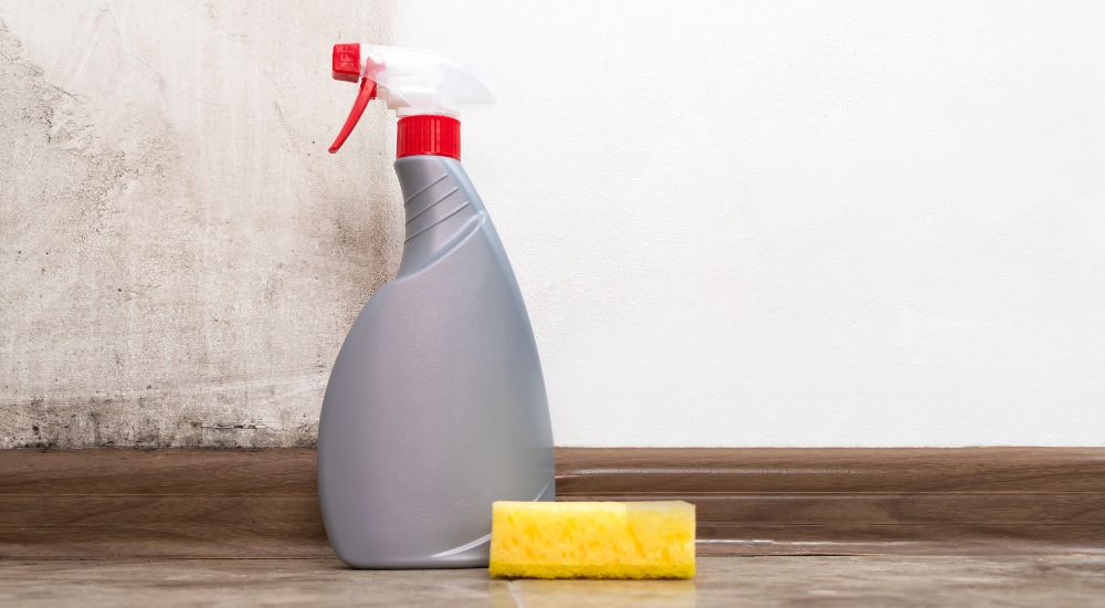 Schimmel bestrijden via een spuitbus en een spons.