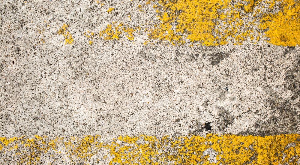 Gele schimmel op een muur.