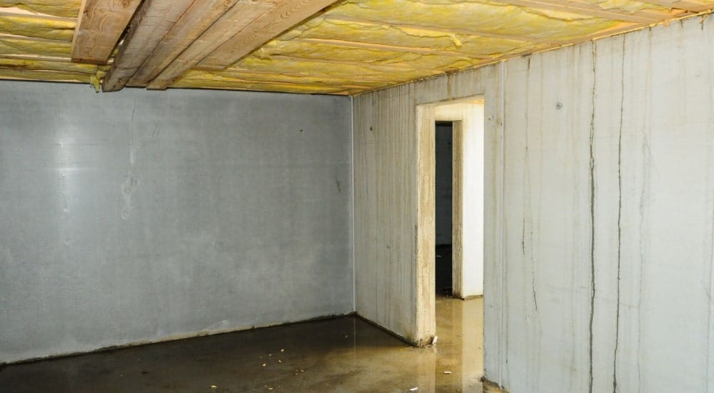 Vocht In Kelder Behandelen