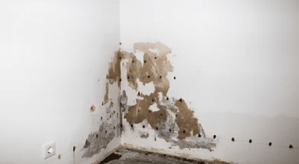 Vochtige Muur Injecteren