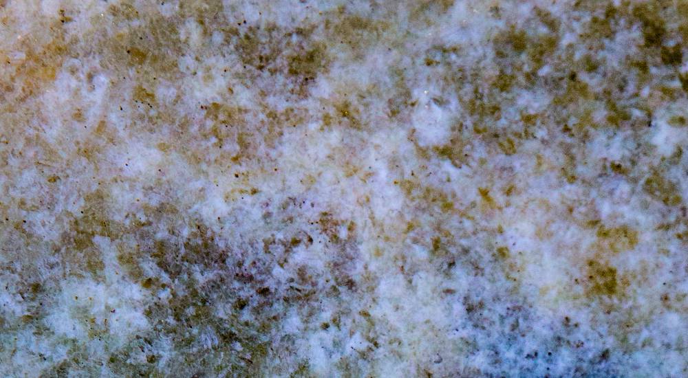 extreem-vorm-van-witte-schimmel-op-de-muur.jpg