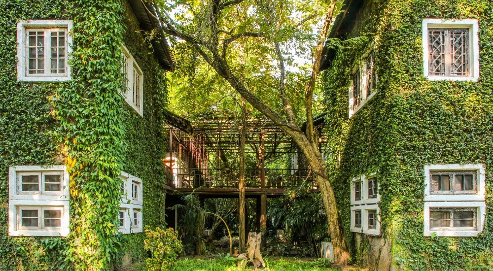 Twee huizen met allebei gevelbegroeiing. Tussen de twee huizen zit een houten bruggetje