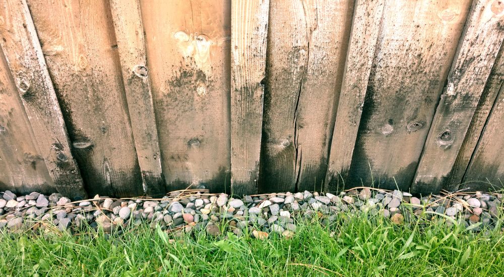 Opstijgend vocht bij een tuinhuis.