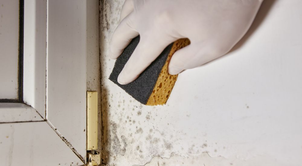 Een hand met een schuurspons veegt over een witte muur met schimmelaanslag bij een raamkozijn.