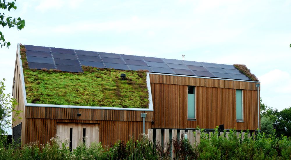 Een sedumdak met zonnepanelen op een vrijstaande woning met houten gevelbekleding en grote raampartijen.