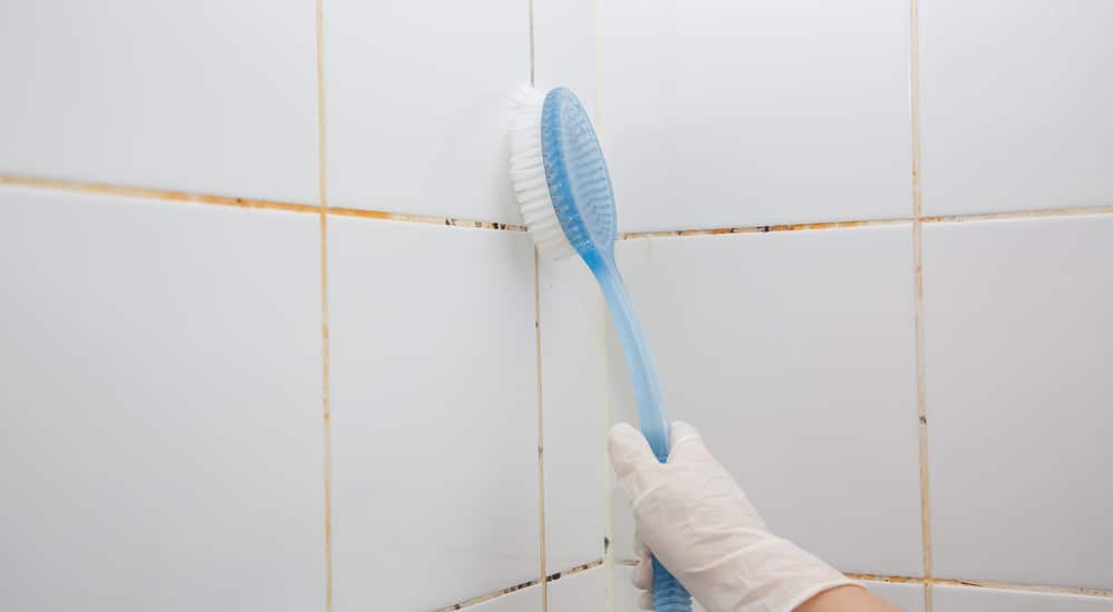 Schimmel op de muren proberen weg te halen met een borstel.