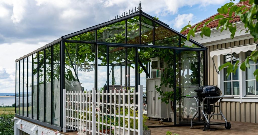 Stalen serre met een schuin dak en planten aan het plafond