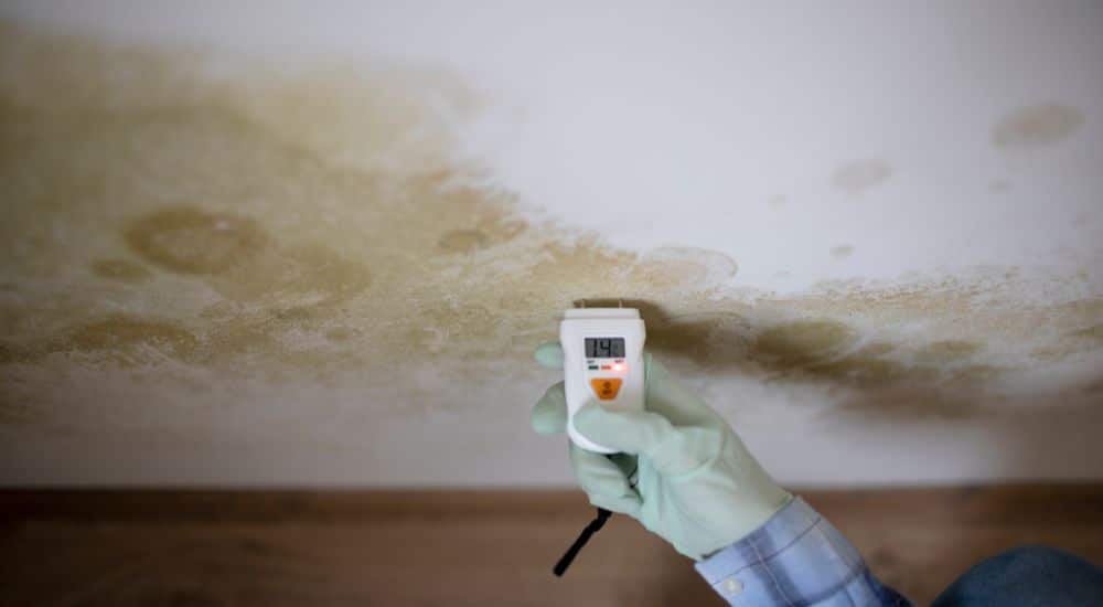 Vocht in huis wordt gemeten met een apparaat tegen een muur met schimmel