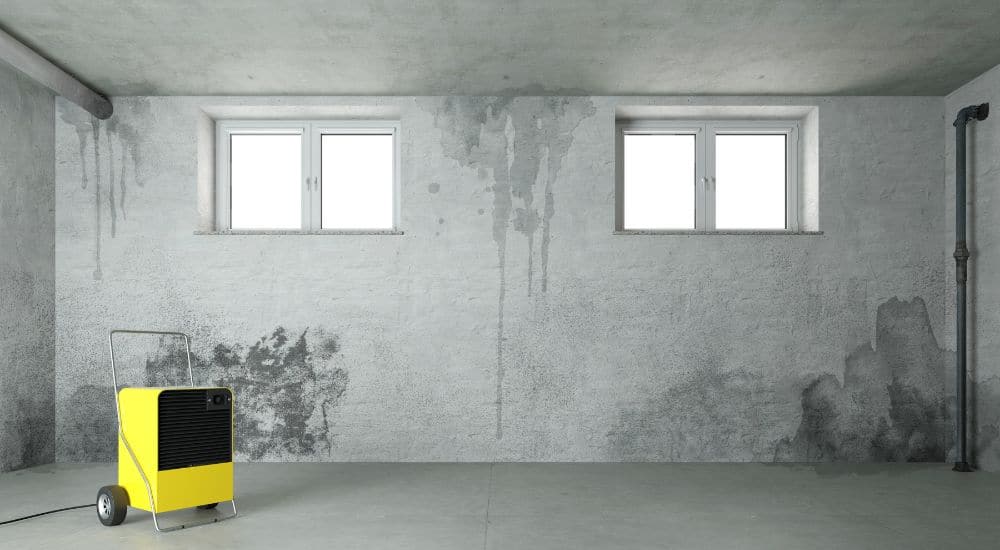Vochtige grijze kelder met vochtplekken op de muren. In de kelder staat een geel ontvochtigingsapparaat