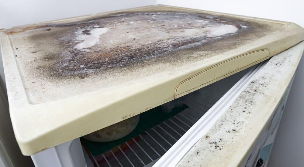 vochtige-garage-koelkast-diepvries