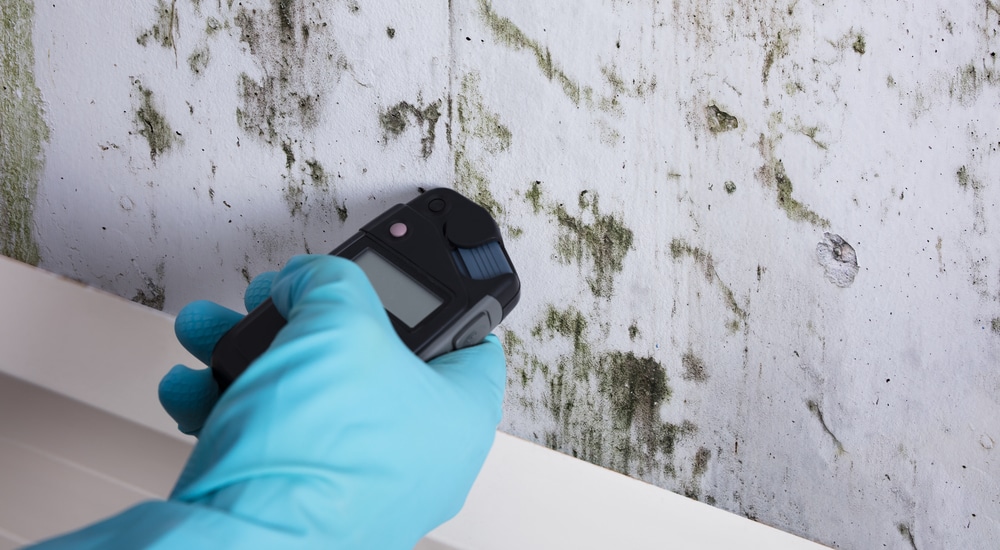 Een witte muur met schimmel. Een vakman met een blauwe handschoen voert een lekdetectie uit.