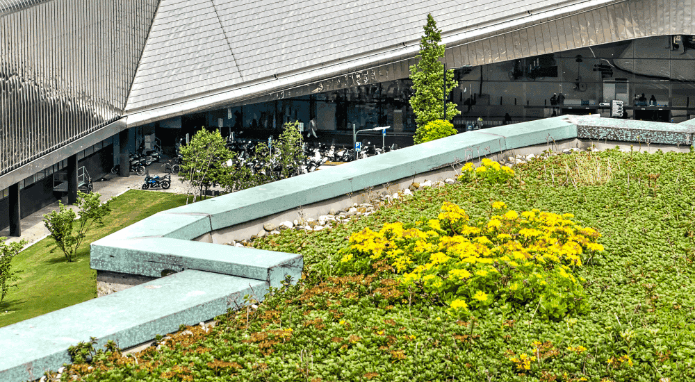Wat is een extensief groendak? Het is een groendak dat bestaat uit lage grassen en groene bodembedekkers.