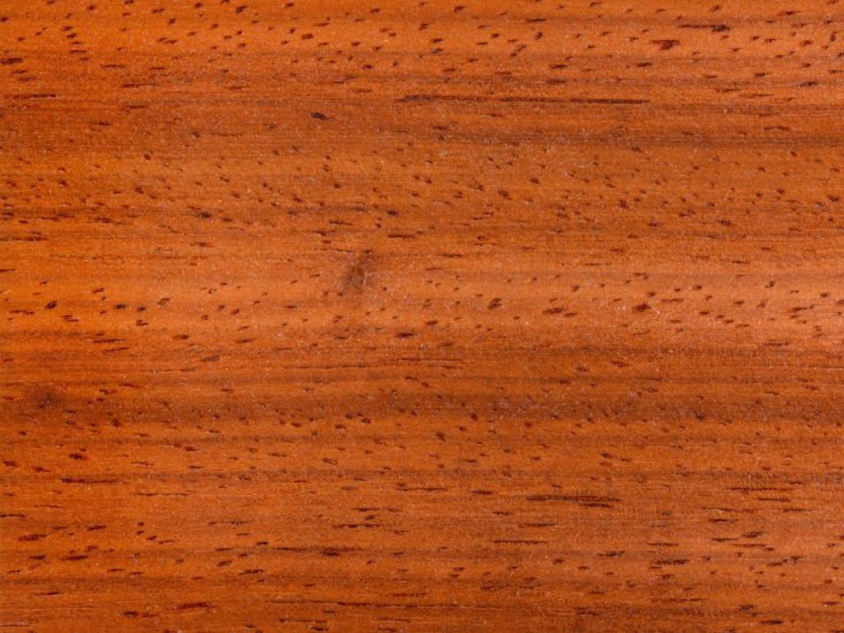 Close-up van de textuur van padouk hout, gekarakteriseerd door een warme, rijke bruine tint met fijne nerfstructuur.