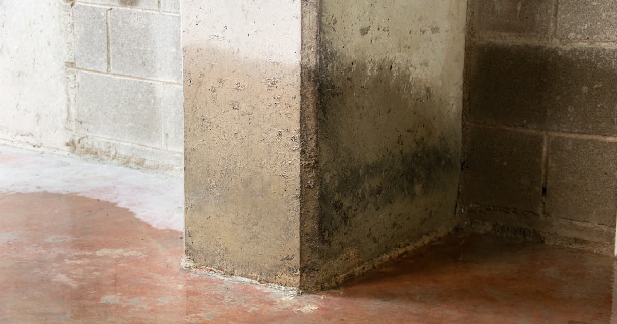 Een betonnen kolom in een kelder is onderaan donker verkleurd door vocht, met ernaast een muur van betonblokken en een natte roodbruine vloer waarop water glinstert.