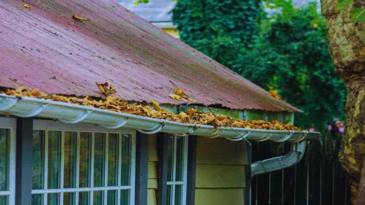Een dakgoot aan de rand van een rood dak die uitpuilt van geelbruine gevallen bladeren.