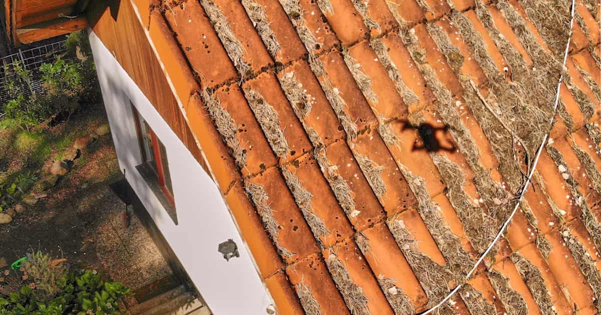 Met een drone wordt de conditie van een vervuild, rood pannendak gecontroleerd.