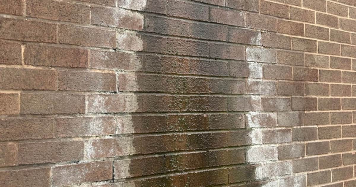 Een bakstenen buitenmuur vertoont een grote donkere vochtplek met witte aanslag rondom.