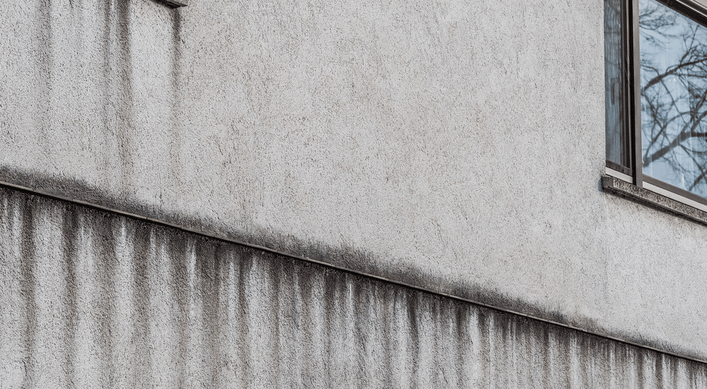 banner_2