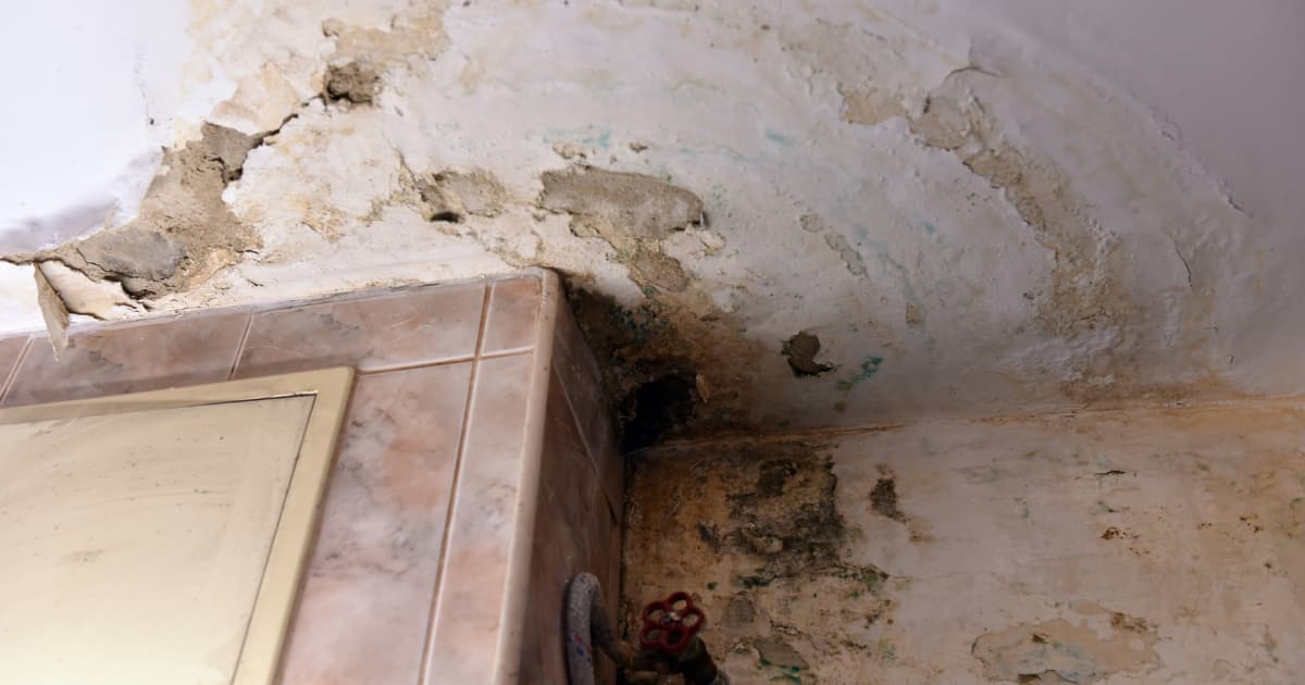 Zwaar aangetaste badkamerhoek waar de pleisterlaag van muur en plafond loskomt en afbladdert, met uitgebreide schimmel- en vochtvlekken in bruin en groen rondom zichtbare leidingkranen en een betegeld kader.