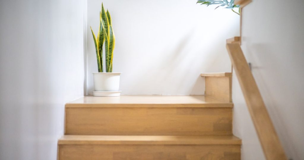 Een lichtgekleurde essen trap in een trappenhal met witte muren. Op de houten trap staat een kamerplant in een witte pot.