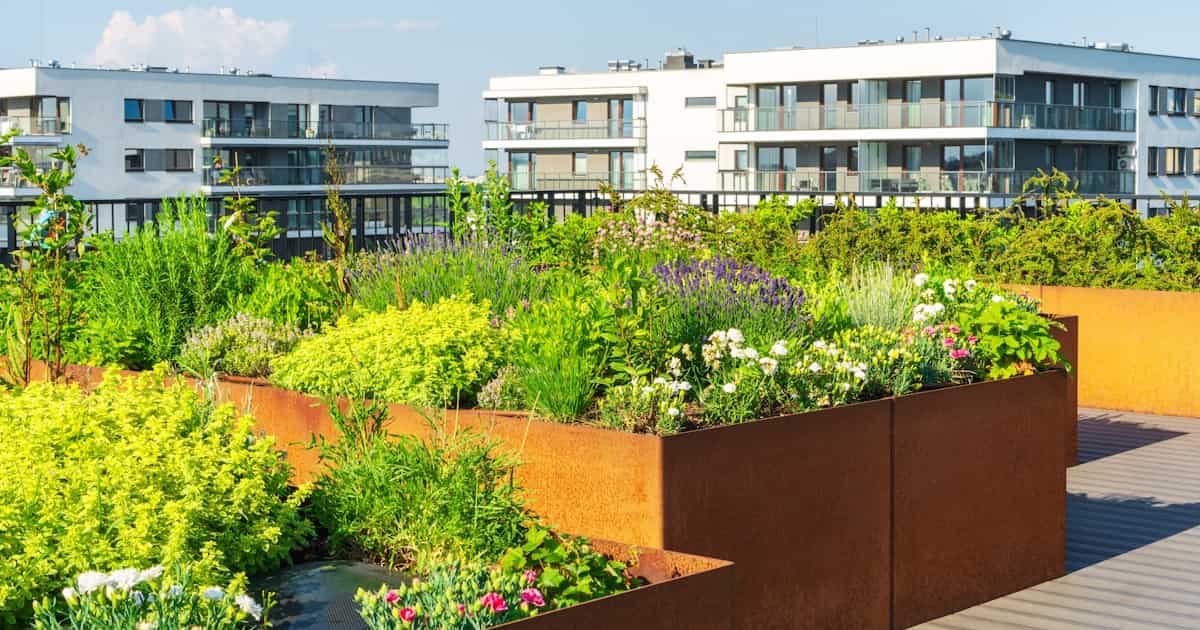 Een extensieve daktuin op het platte dak van een gebouw. In de plantenbakken staan bloeiende planten en kruiden