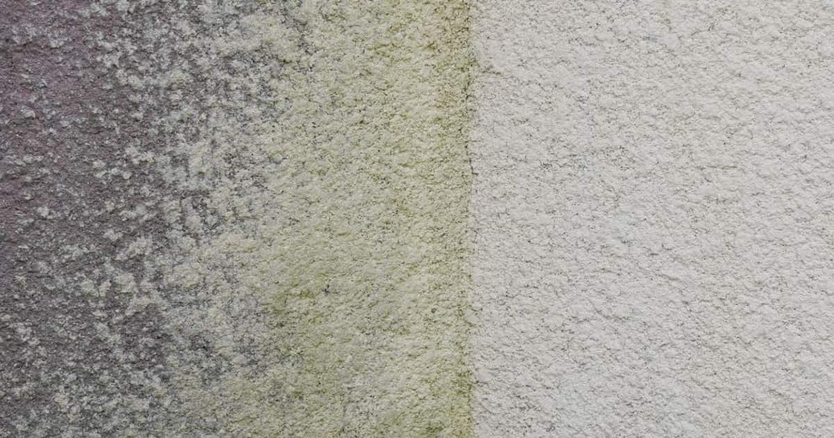 Een close-up van een vervuilde gevel. Rechts is de gevel wit, terwijl er op het grijze vlak links een gelige aanslag te zien is.