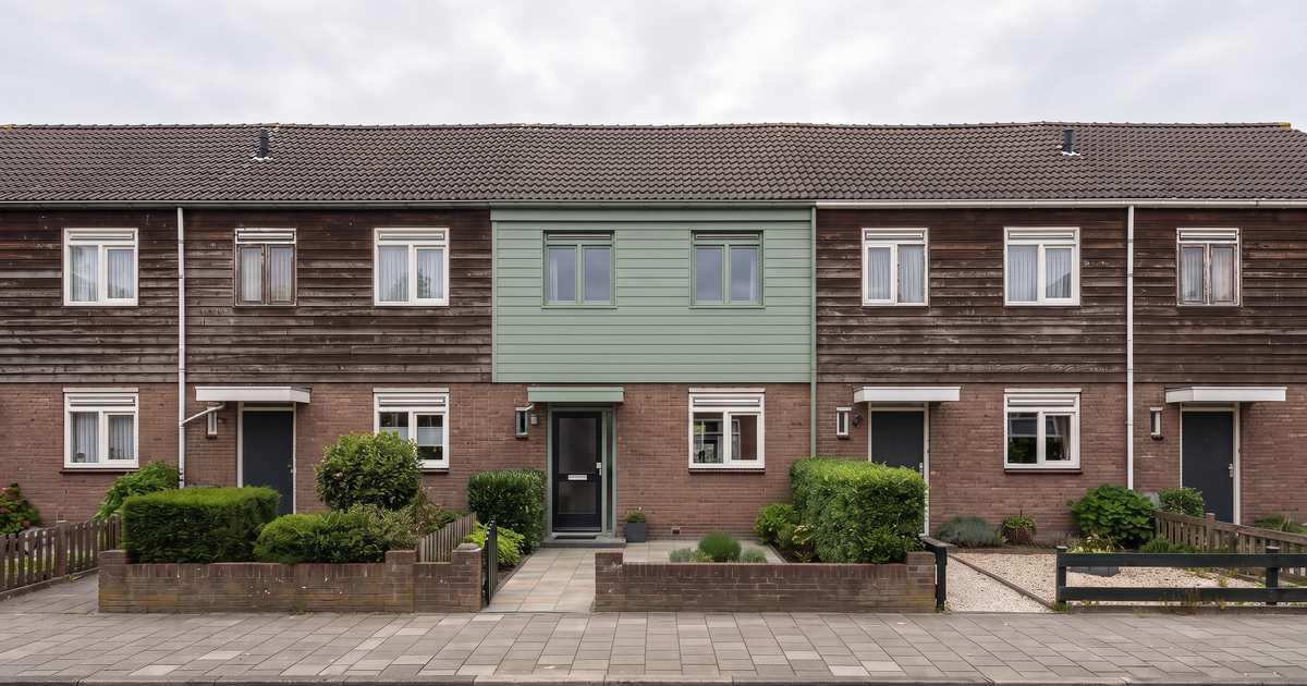 banner_2