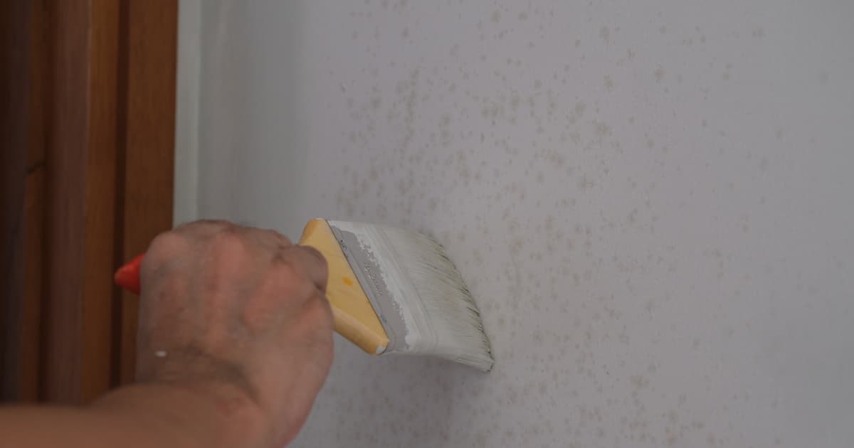 Hand brengt witte primer aan met een brede kwast op een muur met kleine bruine schimmelvlekken naast een houten deurkozijn.