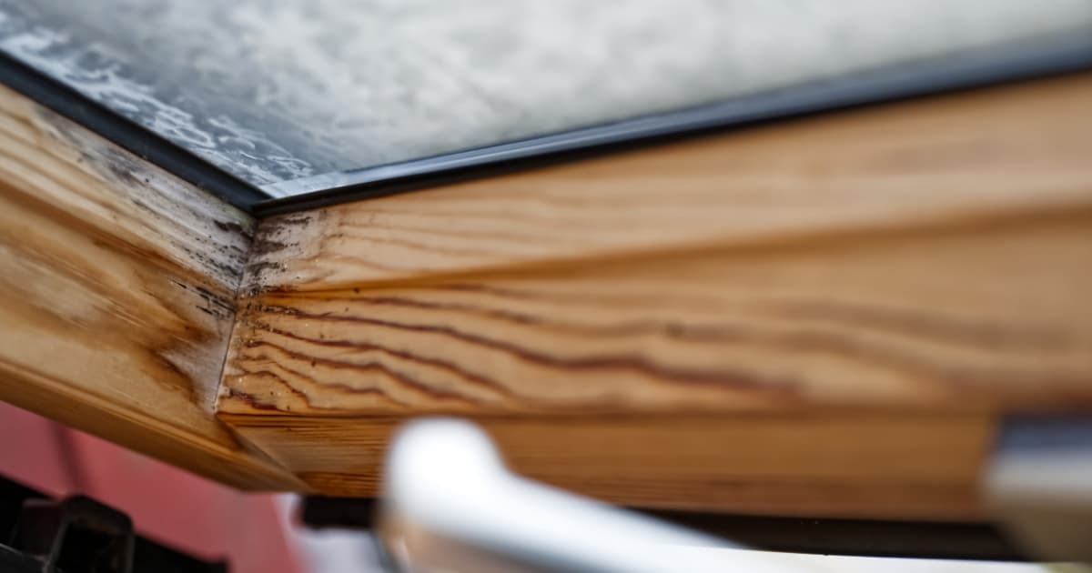 Hoek van een houten raamkozijn van onderen gezien, met zwarte schimmelvlekken en donkere vochtstrepen in de houtnerf onder beslagen glas en een wazige raamkruk op de voorgrond.