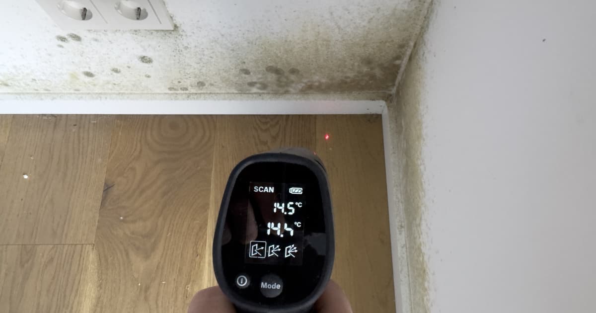 Een hand richt een infraroodthermometer op een binnenhoek waar de witte muur en plint bedekt zijn met schimmelvlekken, terwijl het display een oppervlaktetemperatuur van 14,5 graden toont en een rode laserstip op de muur zichtbaar is.