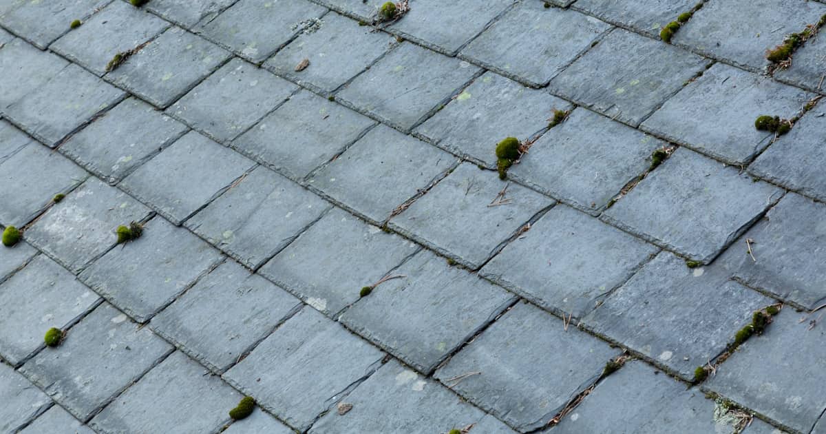 Een leien dak waarbij de leien in horizontale ligging geplaatst zijn. Op het dakoppervlak lichte mosvorming en wat takjes