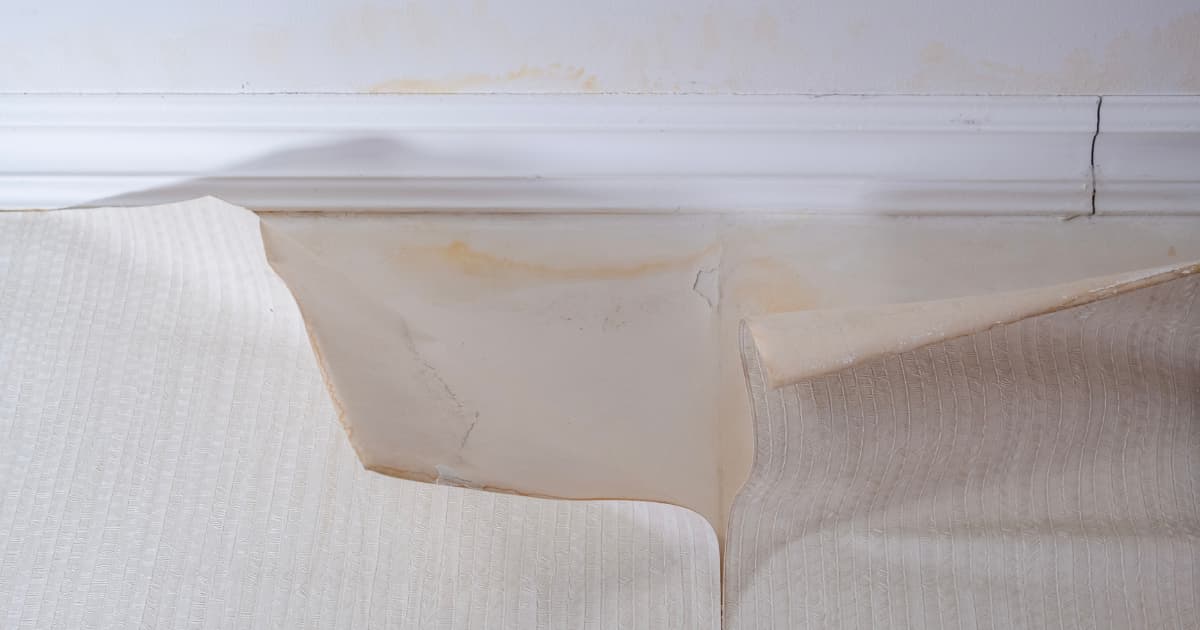 Gestructureerd wit behang komt los van de muur onder een witte sierlijst en legt gebarsten pleisterwerk bloot met gelige vochtvlekken die zich ook boven de lijst aftekenen.