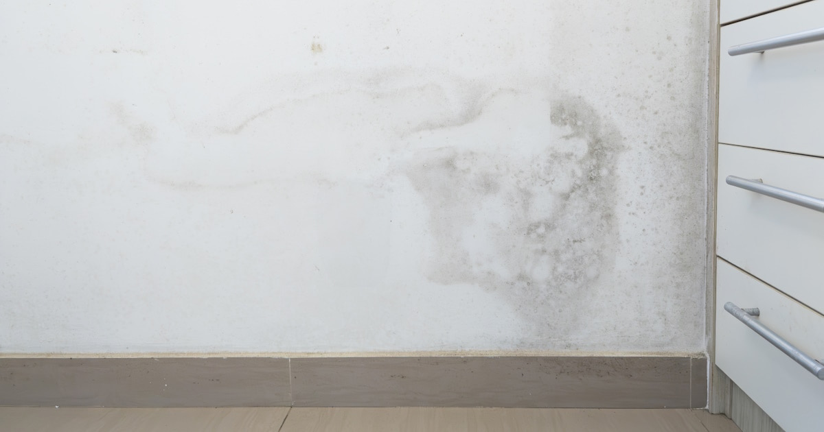 Schimmelplekken op een lichte muur. De schimmel beslaat een groot gedeelte van het oppervlak. Rechts een kast.