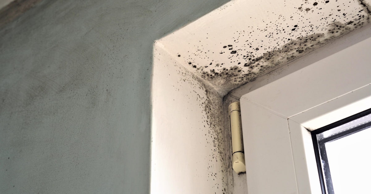 Schimmel in de hoek tussen een kunststof kozijn en de muur. 