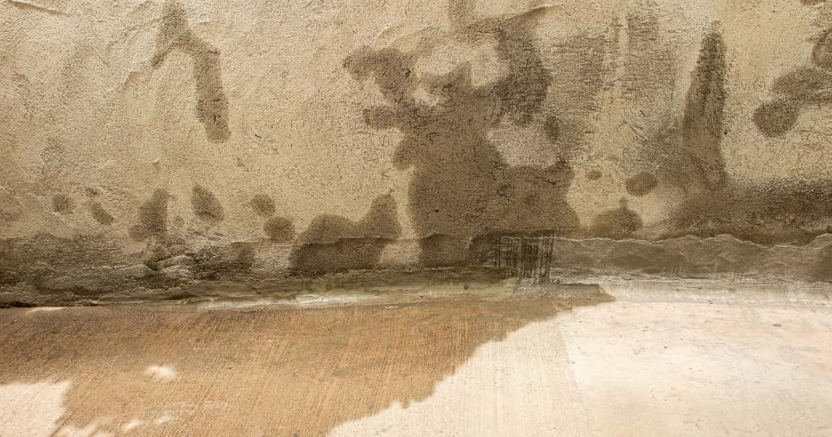Donkere natte vlekken trekken over een ruw bepleisterde grijze muur en lopen onderaan over in een grote vochtige plek op de betonvloer.