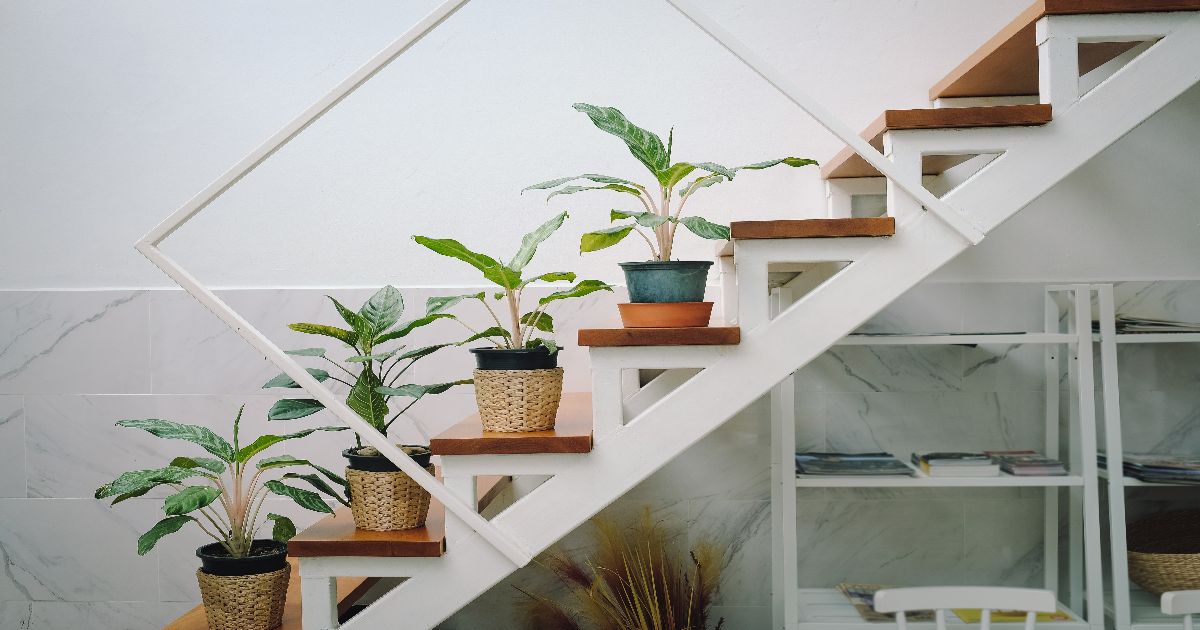 planten op de trap