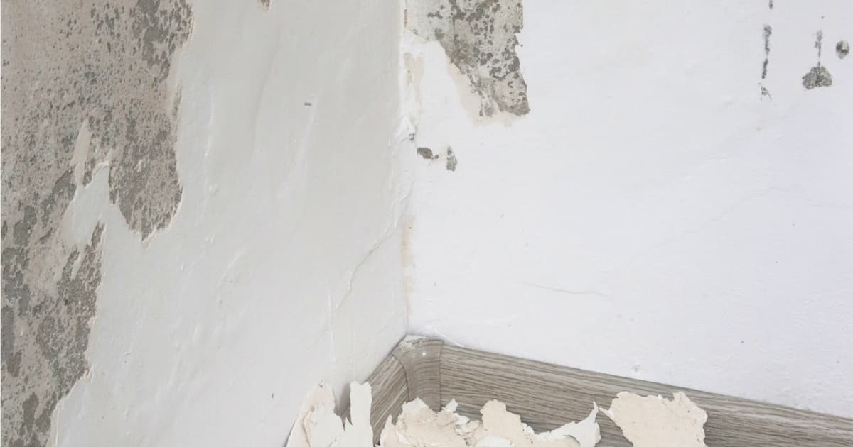 Binnenhoek van een kamer met schimmelplekken en afbladderende verfschilfers op de muur nabij de plint door optrekkend vocht.