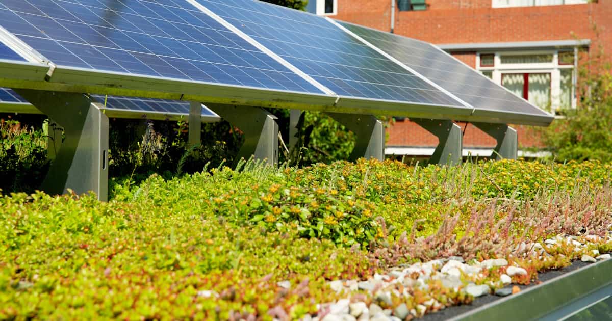 Een groen sedumdak met zonnepanelen erop
