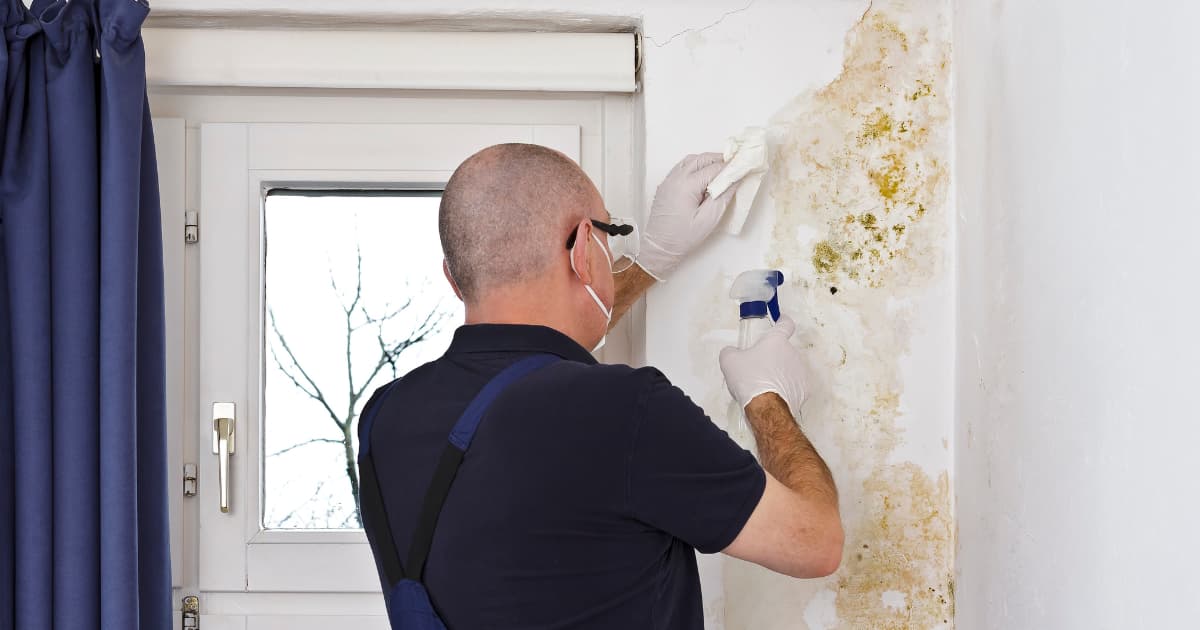 Een vochtspecialist met handschoenen, mondmasker en veiligheidsbril behandelt een schimmelplek op een witte muur naast een raam met een sprayfles en een doek.
