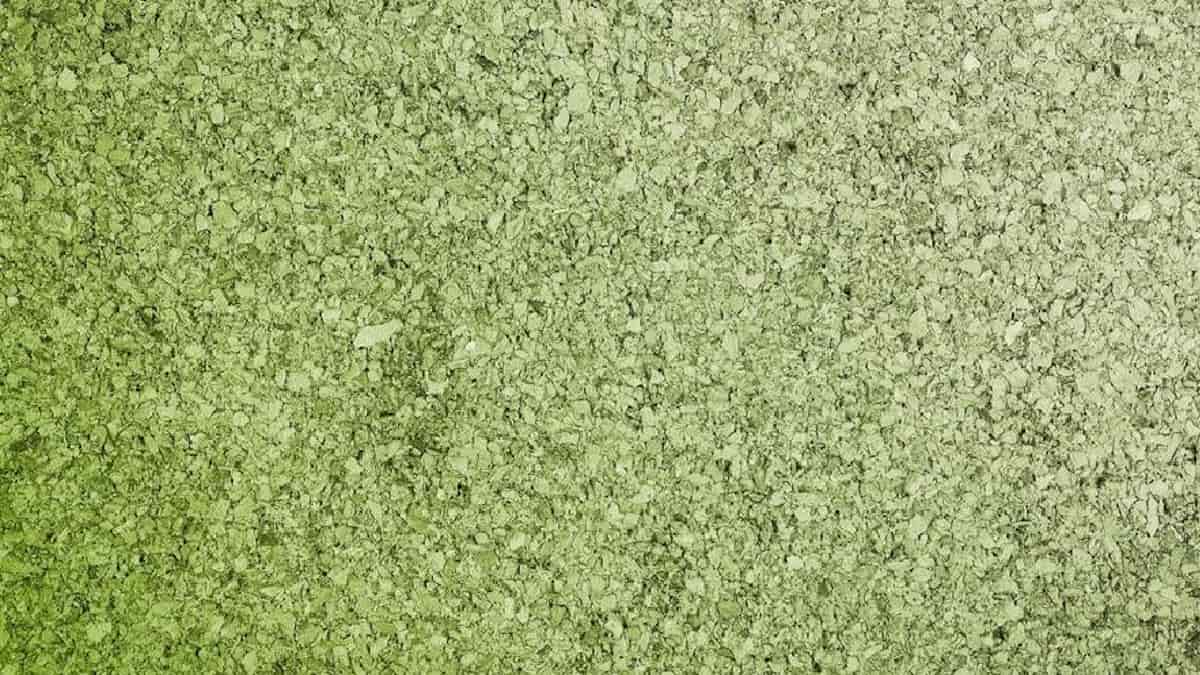 Een spuitkurkplaat met een groene kleur. 